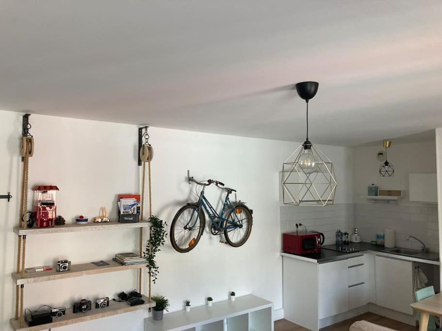Appartement 1 Chambre Proximite Port De Commerce Et Gare Sncf ブレスト エクステリア 写真